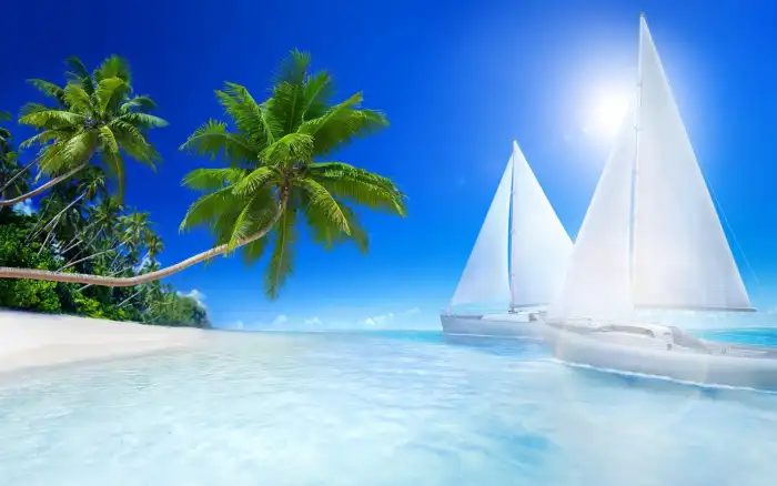 Beach Coconut Tree Background Free Wallpaper