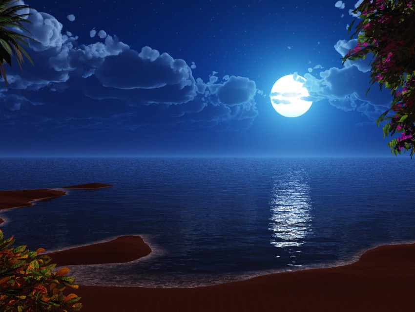 Beach Night With Moon PowerPoint Background Templates