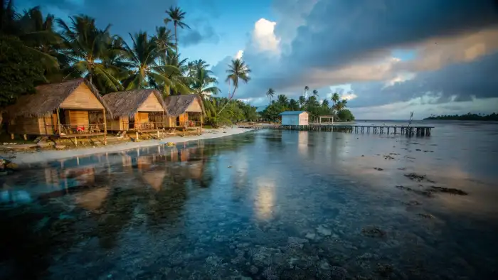 Beach Ocean Sand Plam Coconut Tree Background