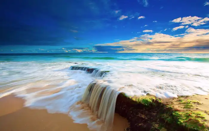 Beach Ocean Sand Plam Coconut Tree Background