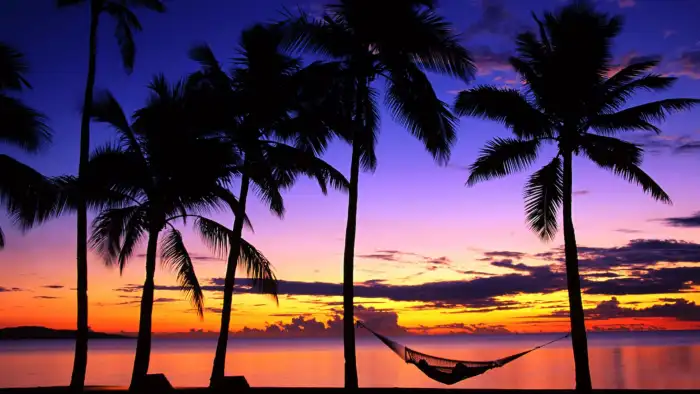 Beach Sunset Coconut Tree Background Free Wallpaper Download