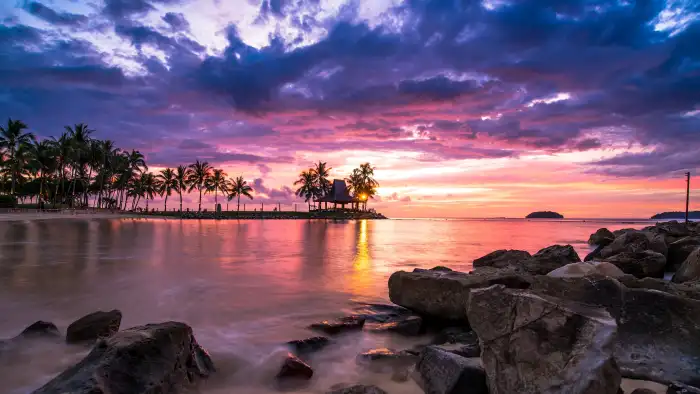 Beach Sunset Sand Plam Coconut Tree Background