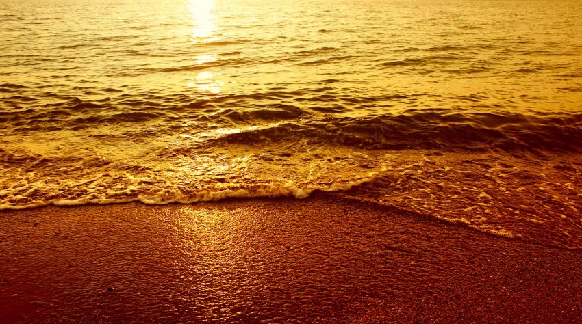 Beach Water Waves Sunlish HD Background  Download