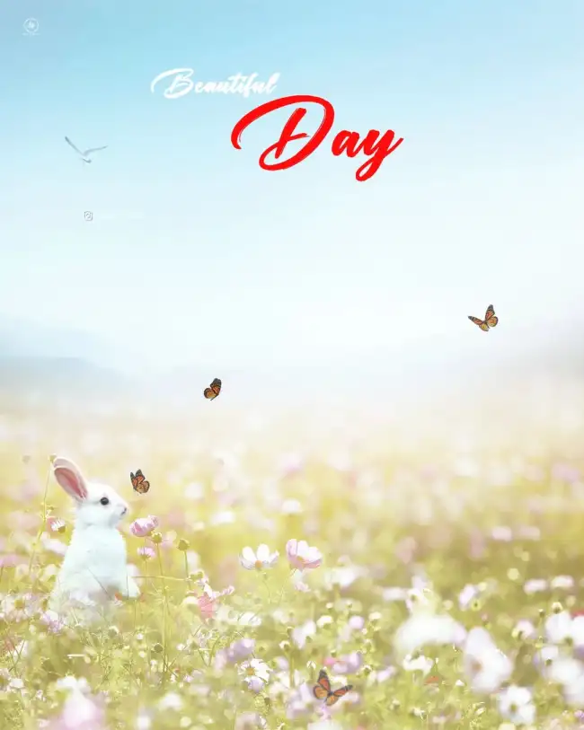 Beautiful Day Rabbit Editing Background HD Download