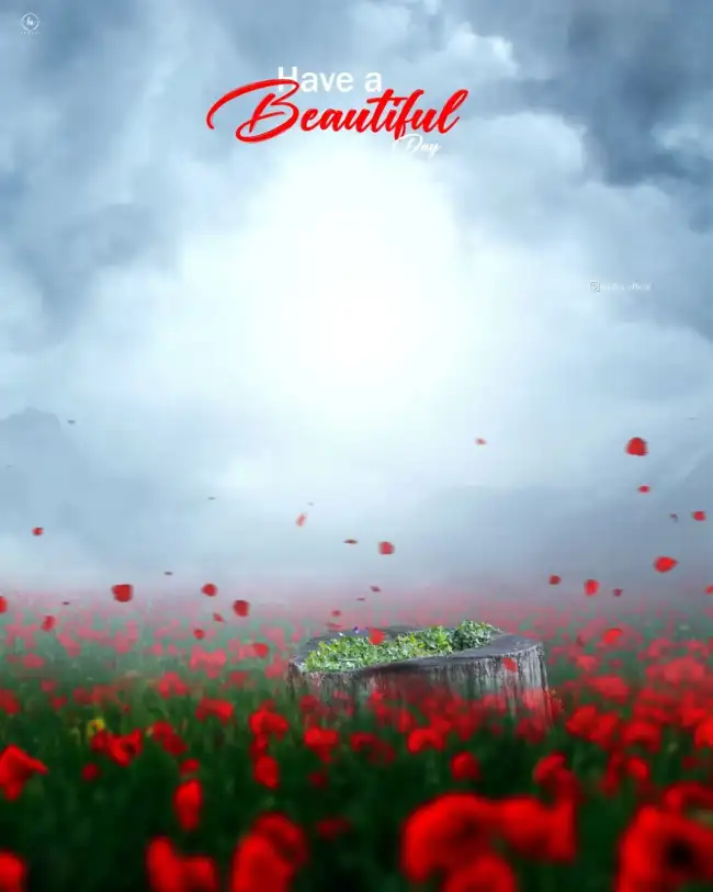 Beautiful Flower Picsart Background HD Download