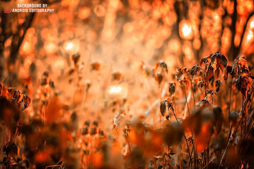 Beautiful Yellow Blur New CB Background