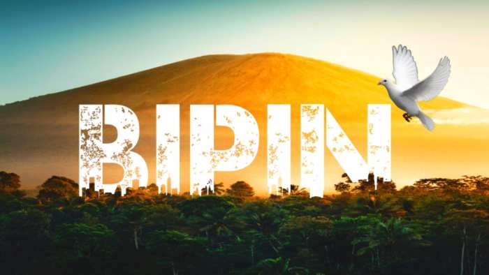 Bipin Urban Jungle Font Use Free Download Free HD Images