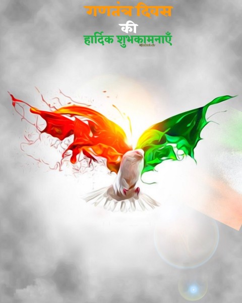 Bird 26 January Republic Day Editing Background