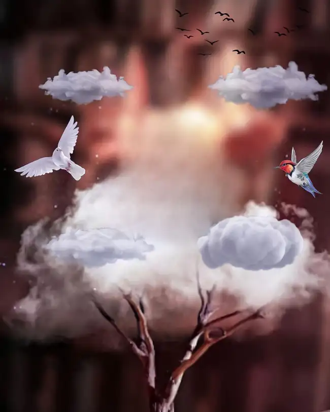 Bird Cloud CB Background HD Download