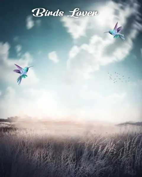 Birds Lover CB Editing Background Full HD Download