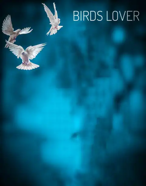 Birds Lover  CB Lightroom  Background Full HD Download