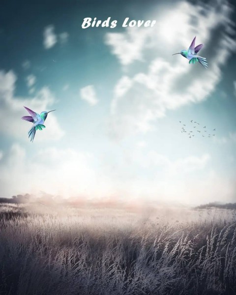 Birds Lovers PicsArt CB Editing  Background HD