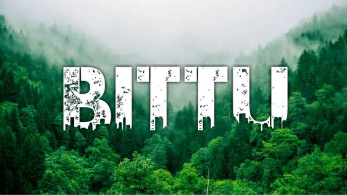 Bittu Urban Jungle Free HD Images