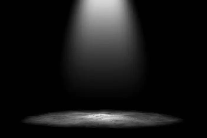 Black And White Fox Light Background HD Images