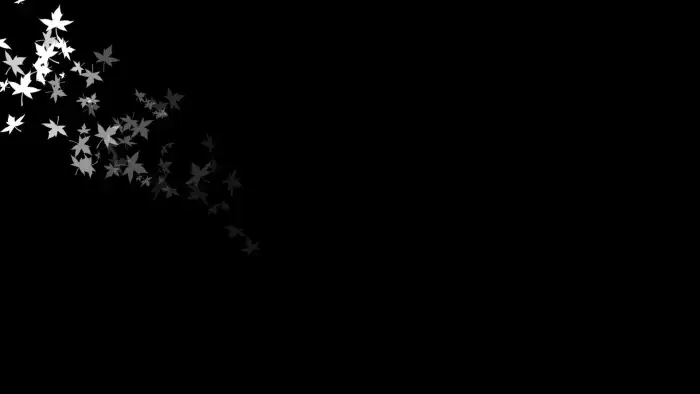 Black And White Image Of Stars Background HD