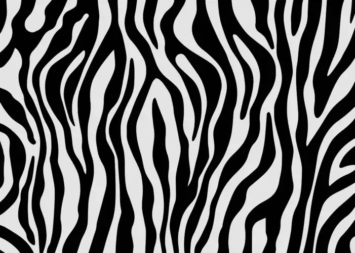 Black And White Pattern Background HD Images