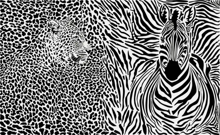 Black And White Pattern Background HD Images