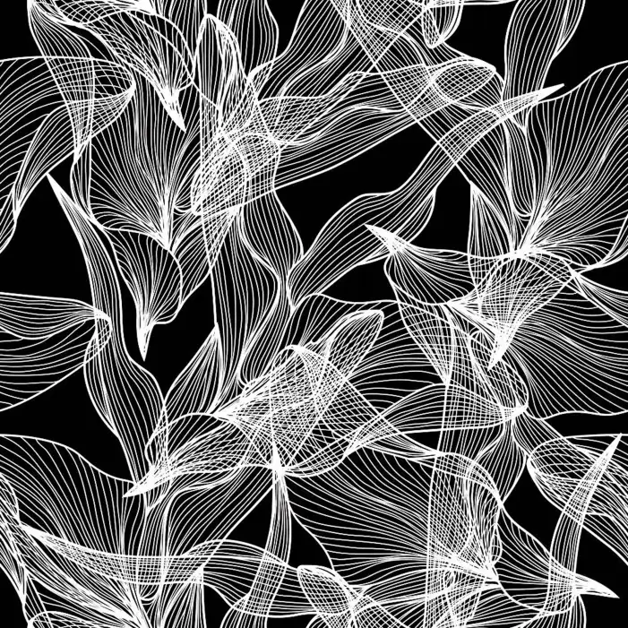 Black And White Pattern Background HD Images