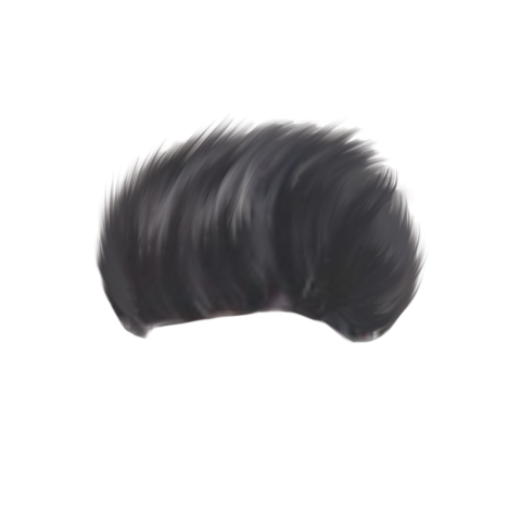 Black Bioye Hair PNG HD Photos Free  Download