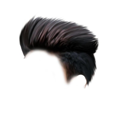 Black Bioye Hair PNG HD Photos Free  Download