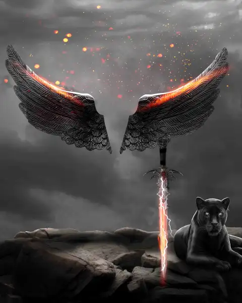 Black Devil Fire Wings CB Editing Background Full HD Download