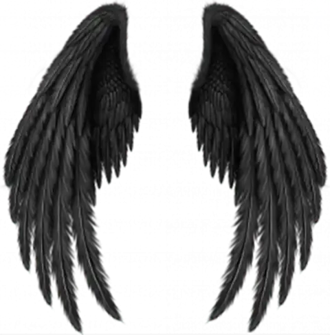 Black Devil Wings PNG Background  Download