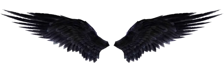 Black Devil Wings PNG Full HD Images Download