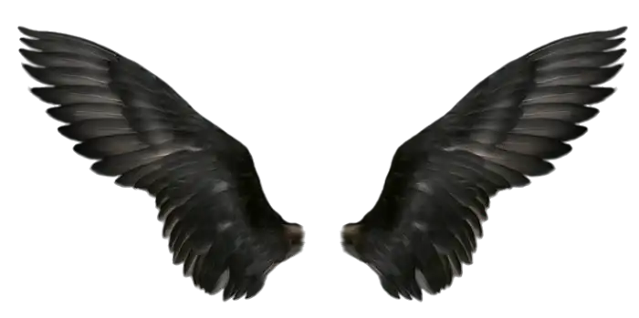 Black Devil Wings PNG Images Download