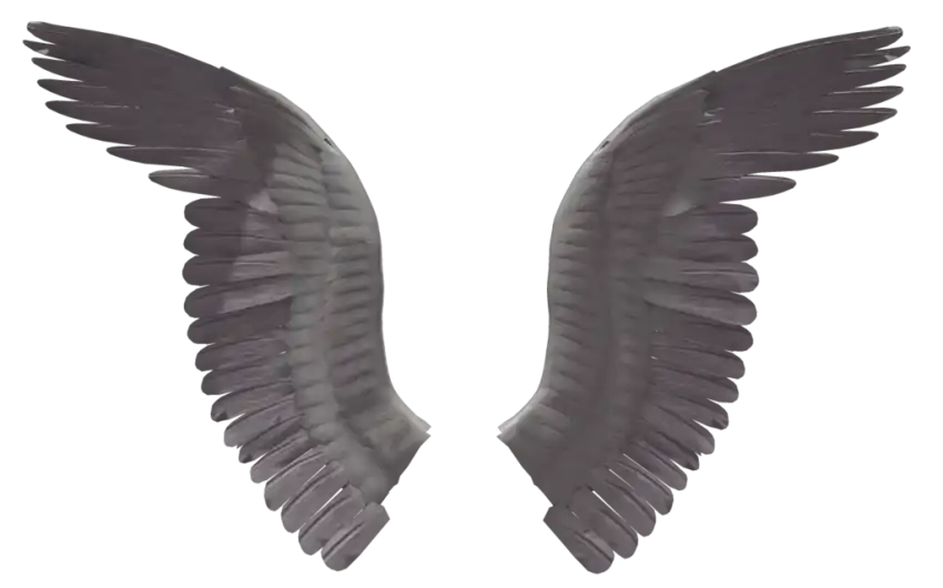 Black Devil Wings PNG Images Download