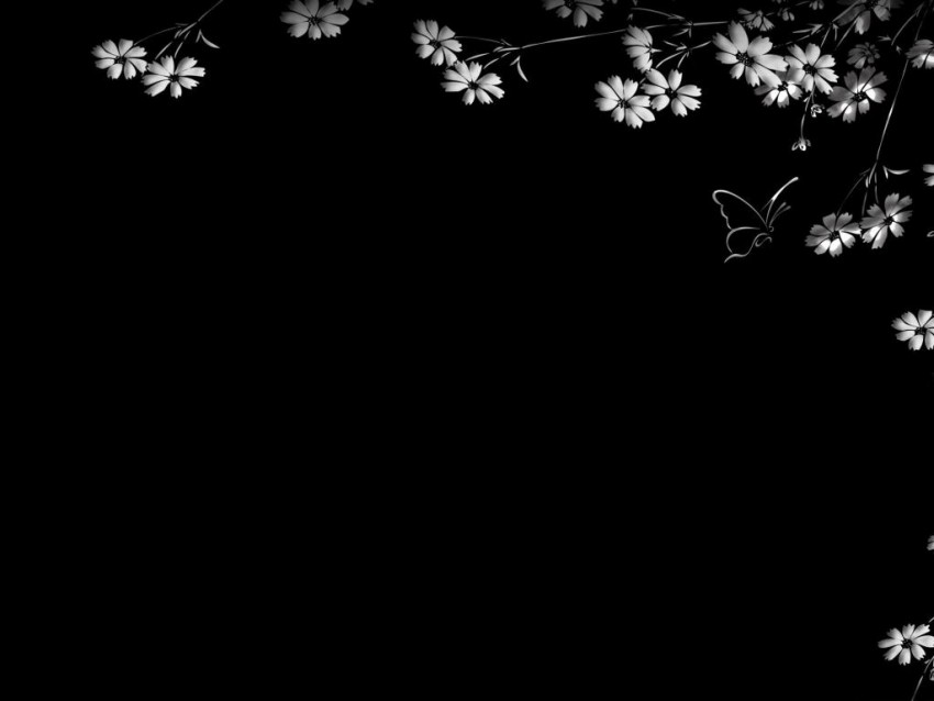 Black Flower PowerPoint Background Download