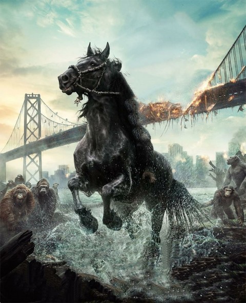 Black Horse Running CB Editing Background HD Images