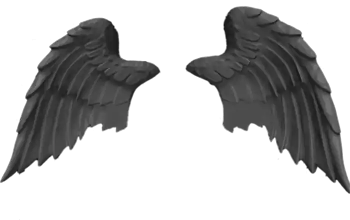 Black Realistic Wings PNG Images Download