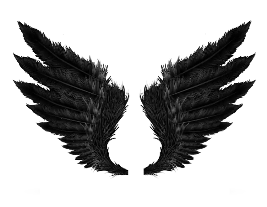 Black Realistic Wings PNG Images Download