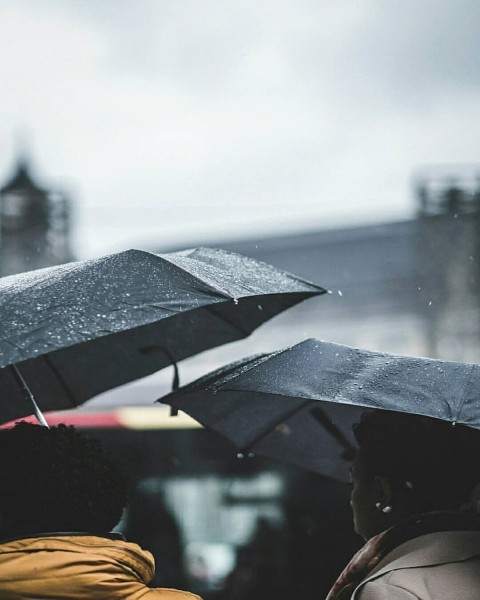 Black Umbrella Picsart Background