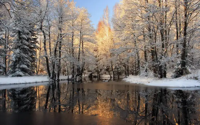 Black Water Lake Winter Forest Background HD Wallpapers