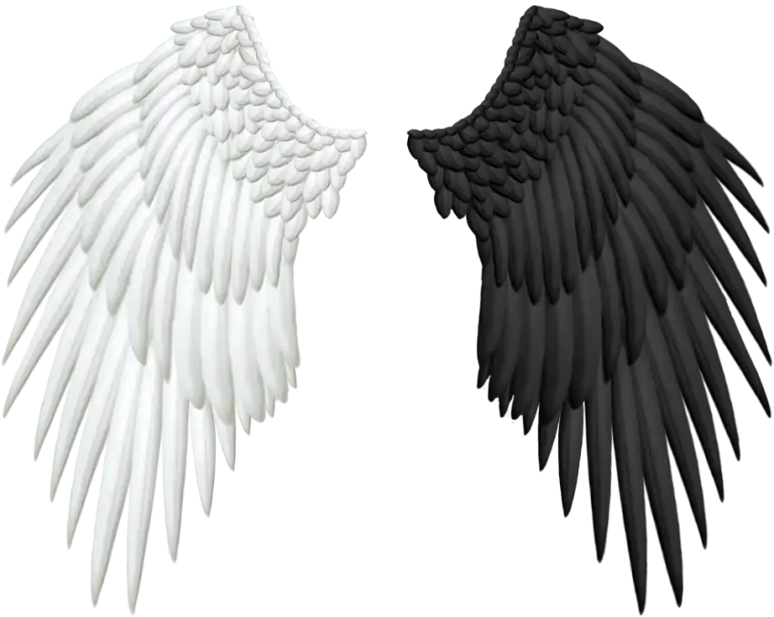 Black White Wings PNG Images Download