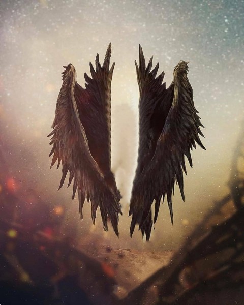 Black Wing Picsart Background Hd