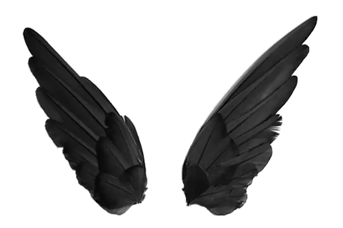 Black Wings PNG File High Resolution Pic Download