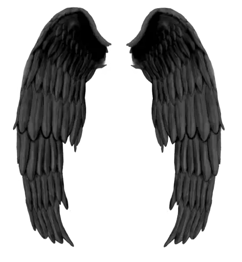 Black Wings PNG File High Resolution Pic Download