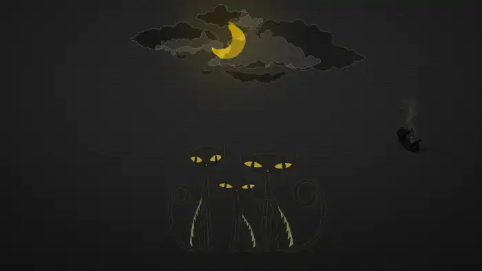 Black Yellow Cat Moon In Sky Background HD Wallpapers