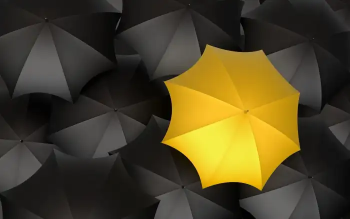 Black Yellow Umbrella Background HD Wallpapers