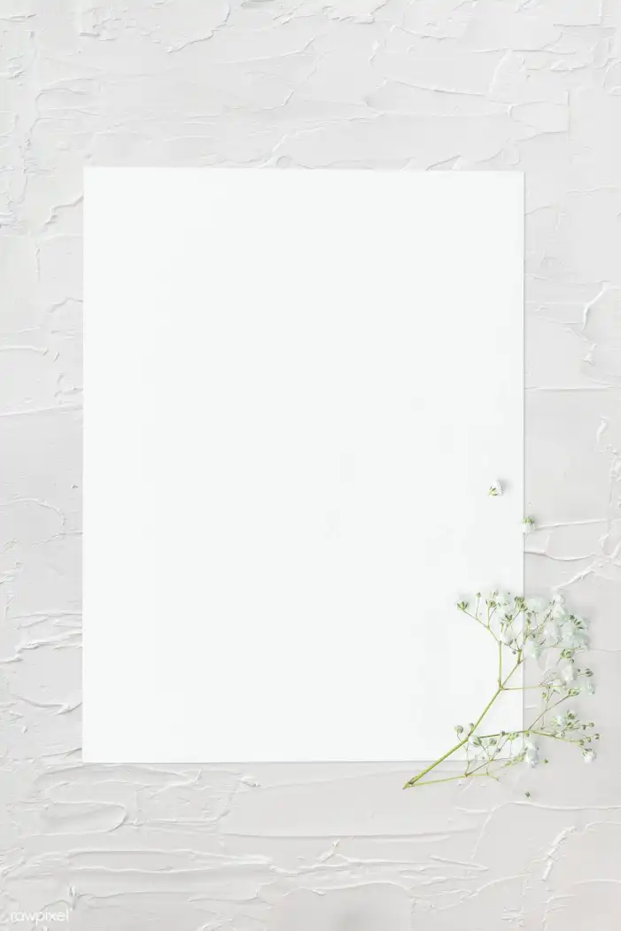 Blank Page Paper Babys Breath Flower Background HD Images