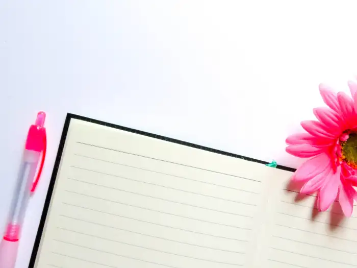 Blank Page With Pink Flower Background HD Images