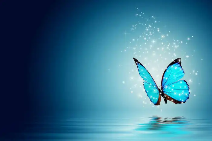 Blue Butterfly Background HD Images