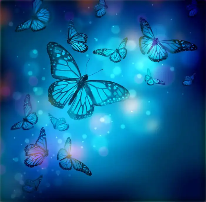 Blue Butterfly Background HD Images