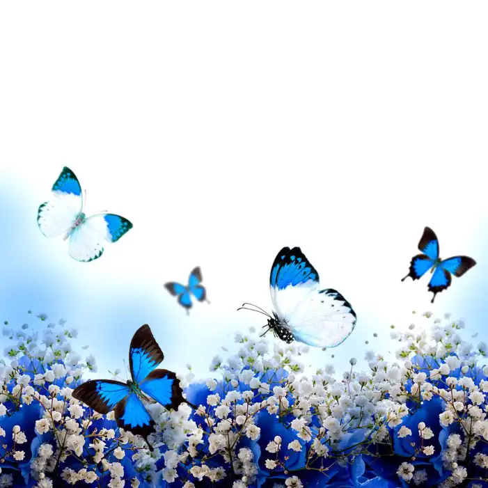 Blue Butterfly Group With Flowers Background HD Images