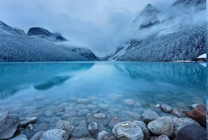 Blue Lake Winter Forest Background HD Wallpapers