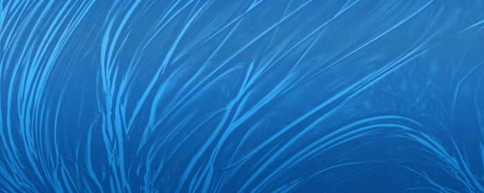 Blue Line Flex Banner Background Download