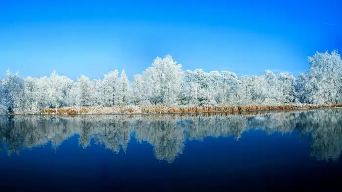 Blue Sky Lake Winter Forest Background HD Wallpapers