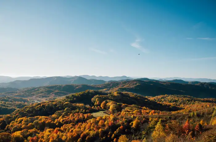 Blue Sky Urban Jungle Green Mountain Forest Background